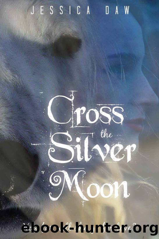Cross the Silver Moon: A Retelling of East of the Sun and West of the Moon by Jessica Daw