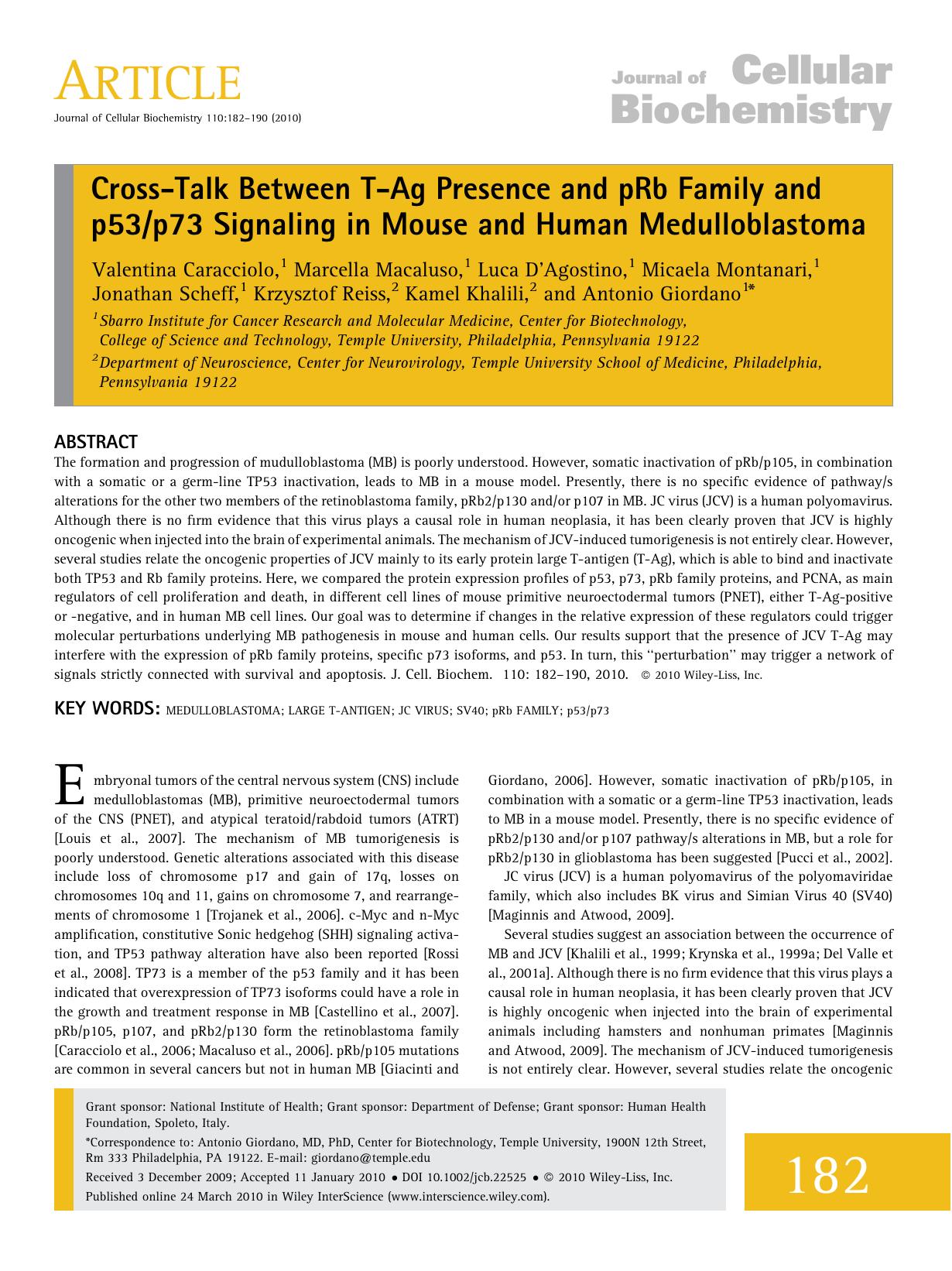 Cross?talk between T?Ag presence and pRb family and p53p73 signaling in mouse and human medulloblastoma by Unknown