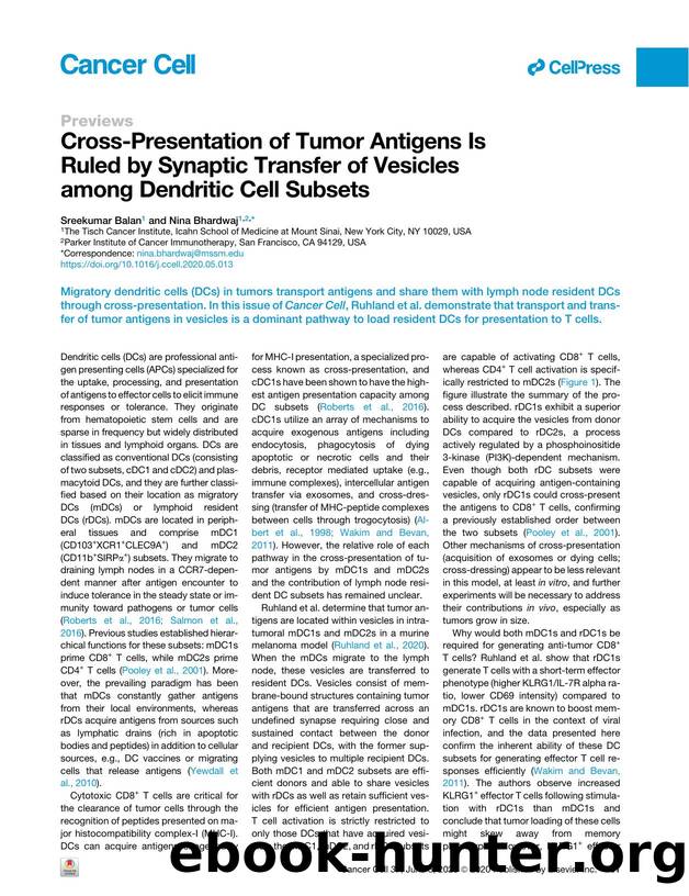 Cross-Presentation of Tumor Antigens Is Ruled by Synaptic Transfer of Vesicles among Dendritic Cell Subsets by Sreekumar Balan & Nina Bhardwaj