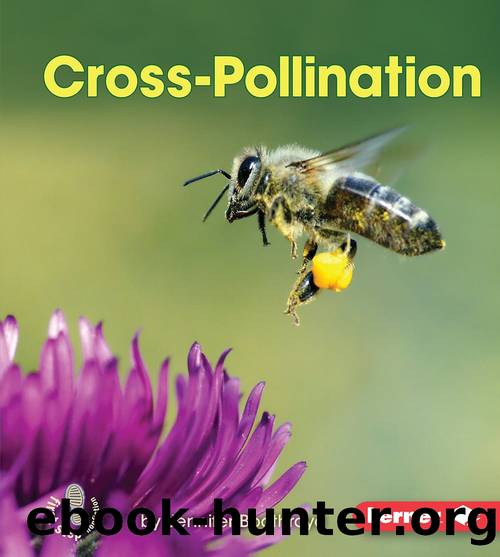 Cross-pollination by Jennifer Boothroyd