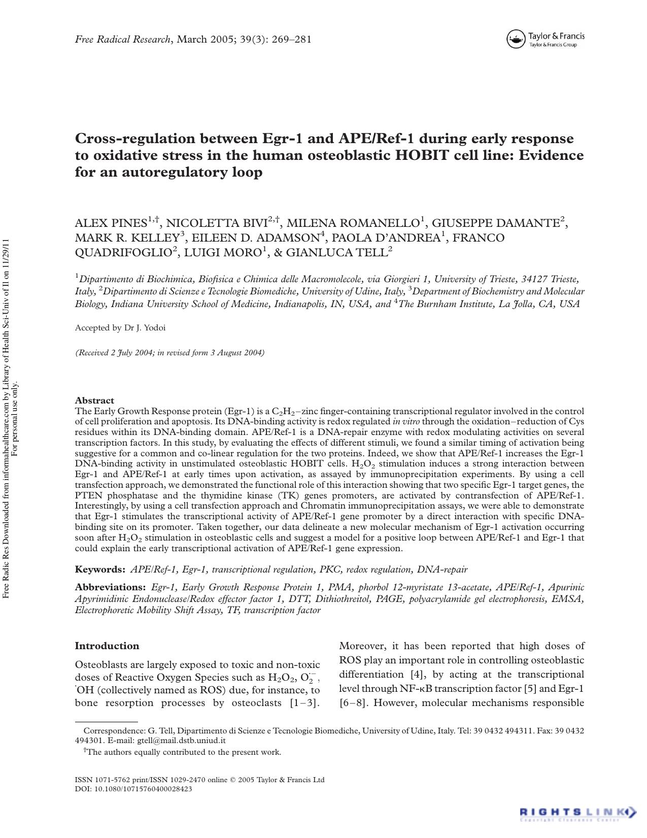 Cross-regulation between Egr-1 and APERef-1 during early response to oxidative stress in the human osteoblastic HOBIT cell line: Evidence for an autoregulatory loop by unknow