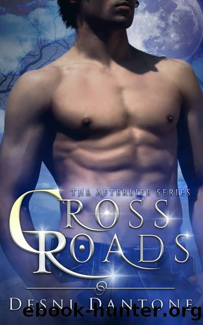 CrossRoads (AfterLife Book 1) by Desni Dantone