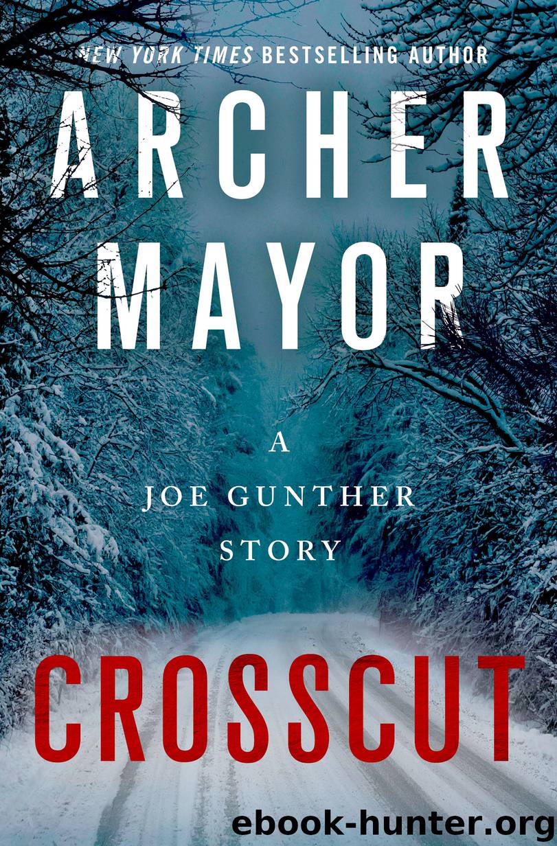 Crosscut by Archer Mayor