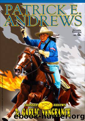 Crossed Arrows 3 by Patrick E. Andrews