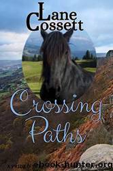 Crossing Paths: A Pride & Prejudice Variation Novella (In Different Circumstances 1) by Lane Cossett