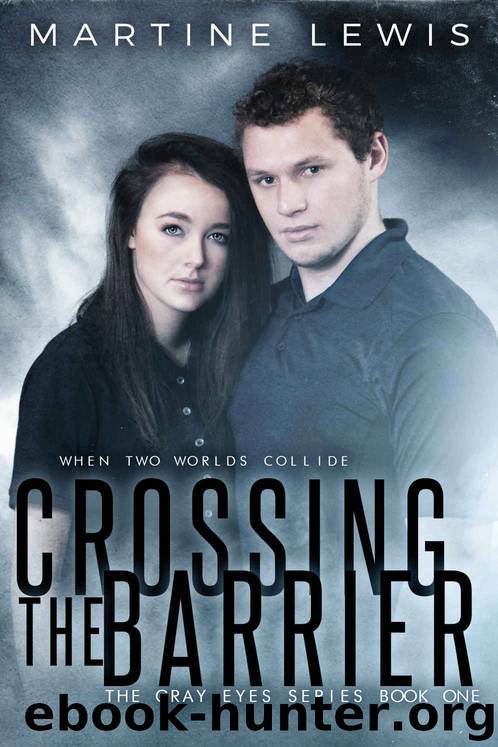 Crossing the Barrier by Martine Lewis