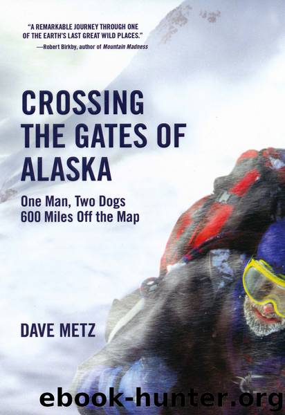 Crossing the Gates of Alaska by Dave Metz