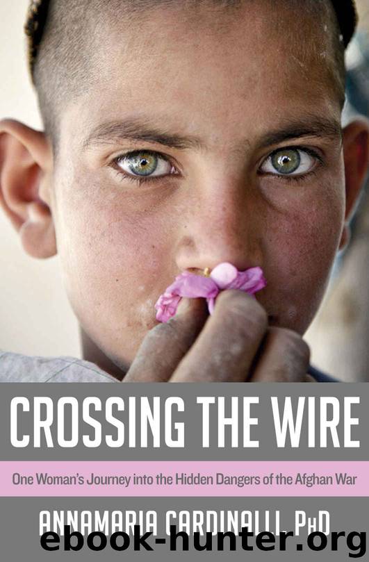 Crossing the Wire by AnnaMaria Cardinalli