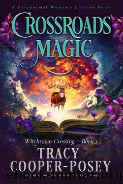 Crossroads Magic (Witchtown Crossing Book 1) by Tracy Cooper-Posey