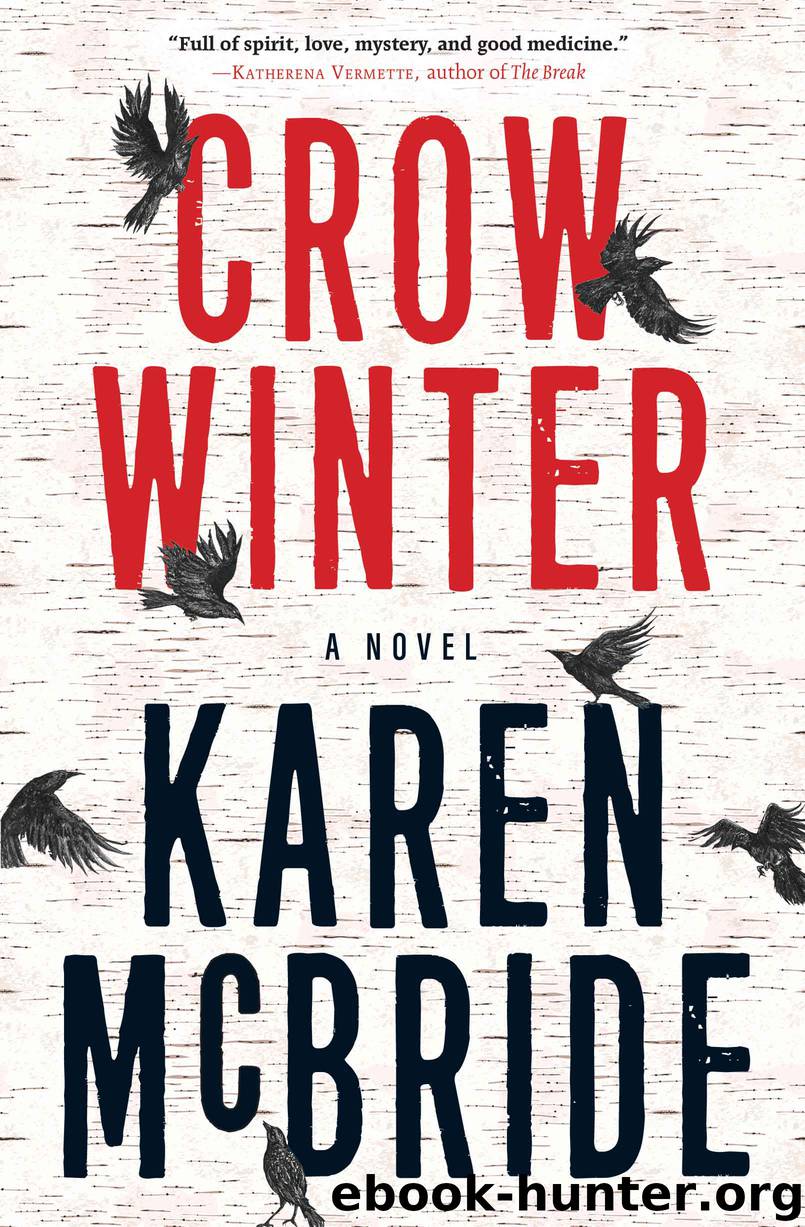 Crow Winter by Karen McBride