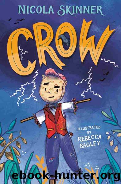 Crow by Nicola Skinner