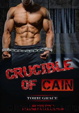 Crucible of Cain by Torie Grace