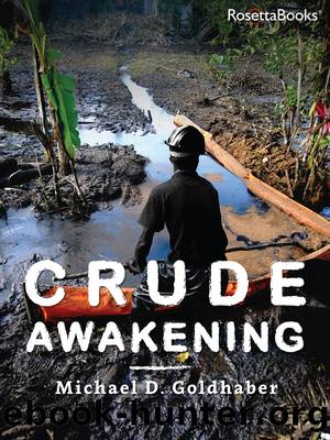 Crude Awakening by Michael D. Goldhaber