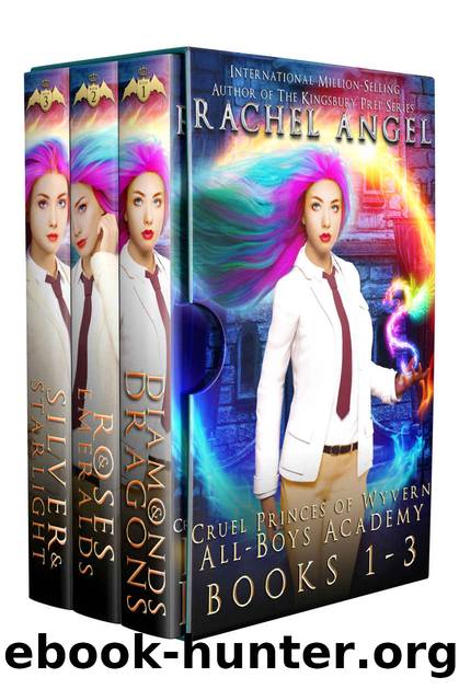 Cruel Princes of Wyvern All-Boys Academy Complete Box Set by Rachel Angel