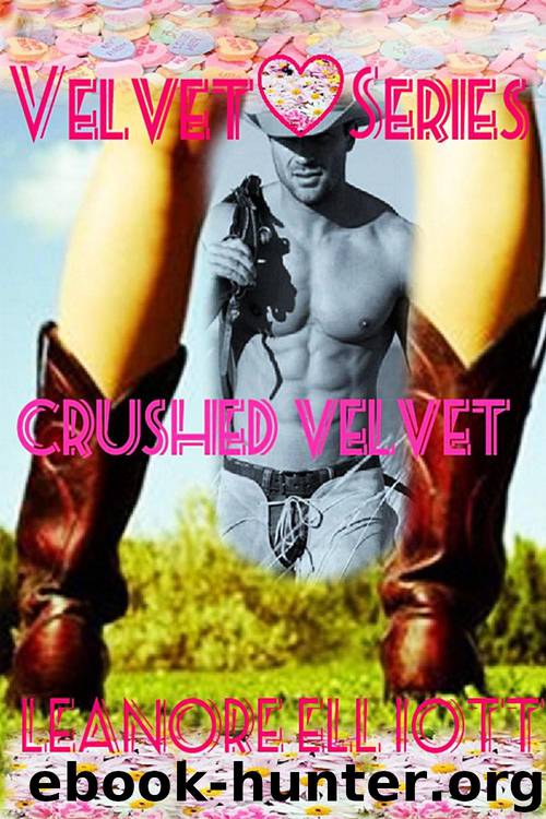 Crushed Velvet by Leanore Elliott