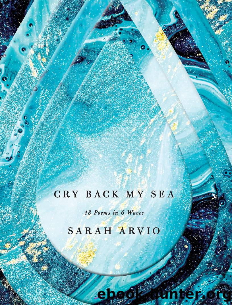 Cry Back My Sea by Sarah Arvio