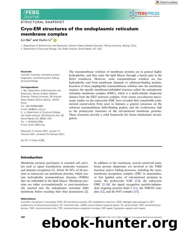 CryoâEM structures of the endoplasmic reticulum membrane complex by Unknown