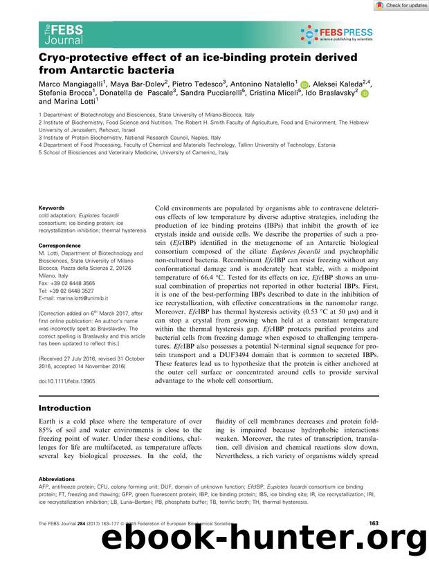 Cryoâprotective effect of an iceâbinding protein derived from Antarctic bacteria by Unknown