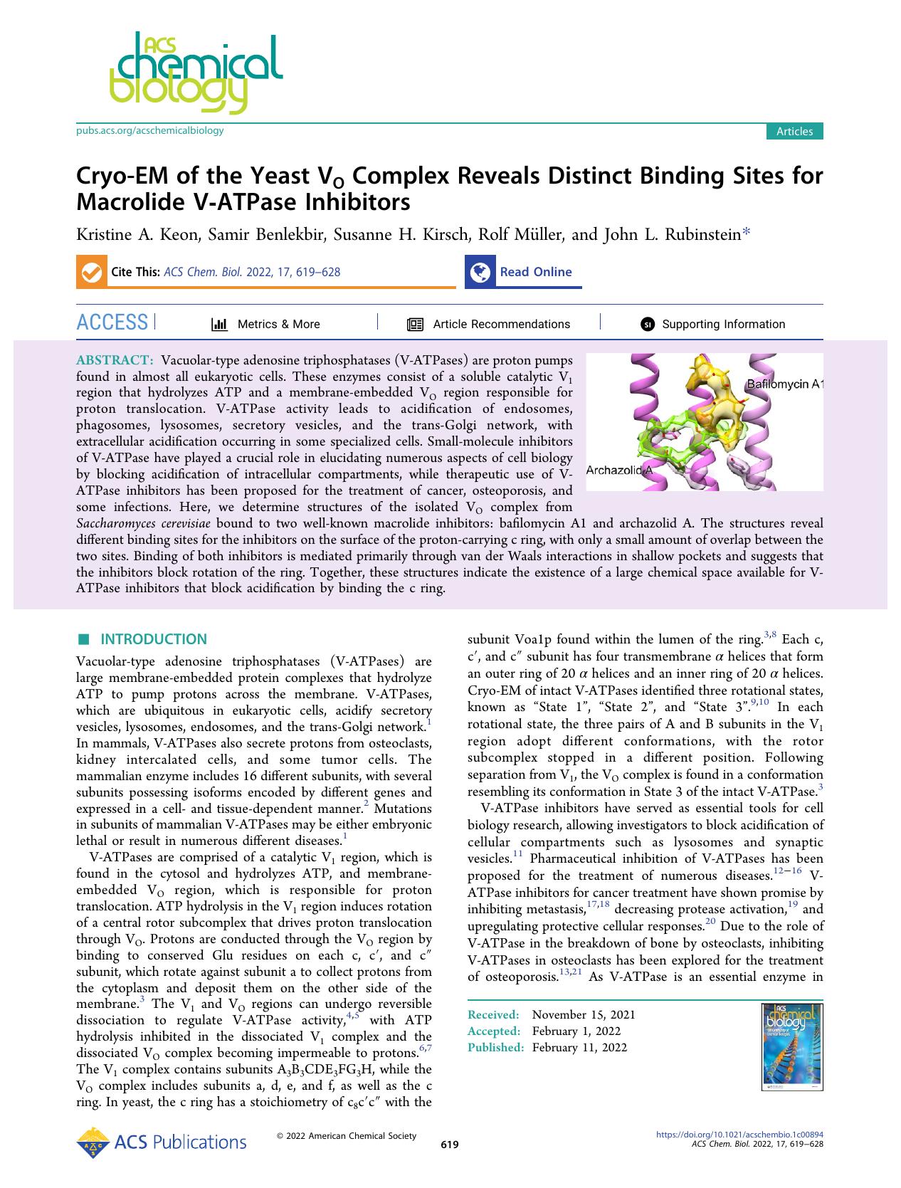 Cryo-EM of the Yeast VO Complex Reveals Distinct Binding Sites for Macrolide V-ATPase Inhibitors by Kristine A. Keon Samir Benlekbir Susanne H. Kirsch Rolf Müller and John L. Rubinstein