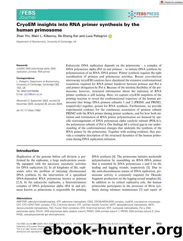 CryoEM insights into RNA primer synthesis by the human primosome by Unknown