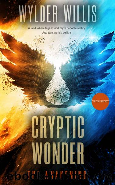 Cryptic Wonder- the Awakening by Wylder Willis