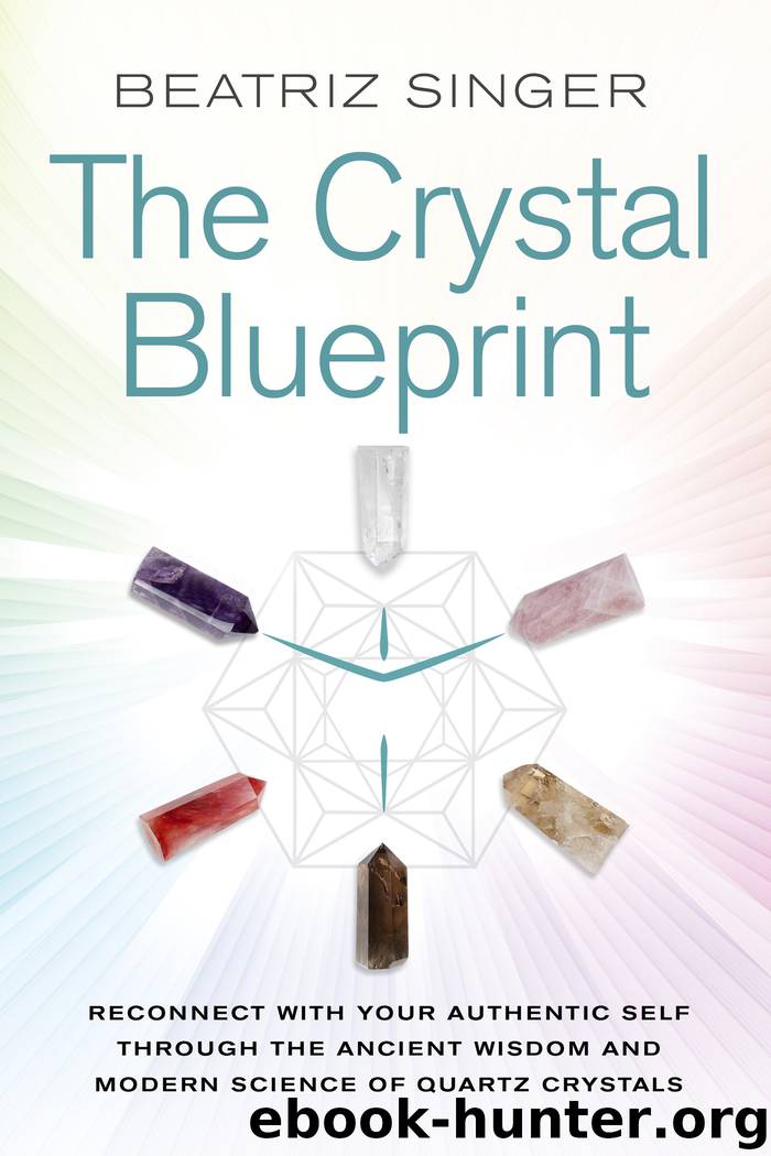 Crystal Blueprint by Beatriz Singer