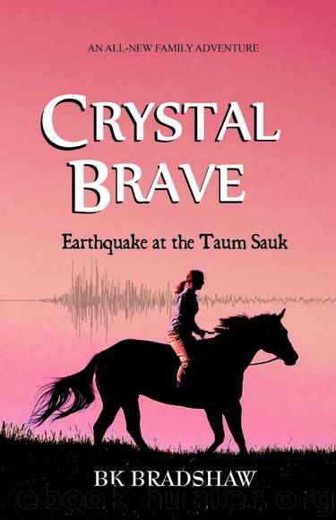 Crystal Brave by B. K. Bradshaw