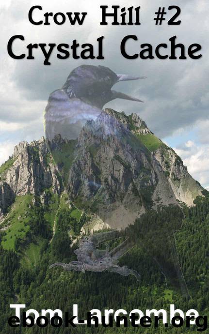 Crystal Cache (Crow Hill Book 2) by Larcombe Tom