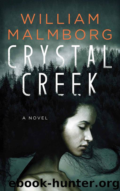 Crystal Creek by Malmborg William