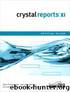 Crystal Reports XI: Official Guide by FitzGerald Neil