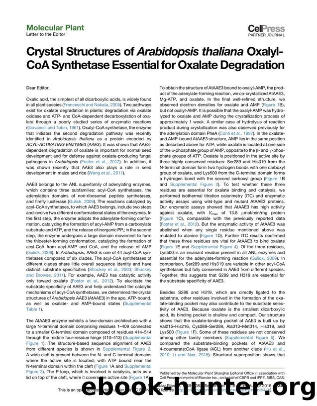 Crystal Structures of Arabidopsis thaliana Oxalyl-CoA Synthetase Essential for Oxalate Degradation by Minrui Fan & Yang Xiao & Mei Li & Wenrui Chang
