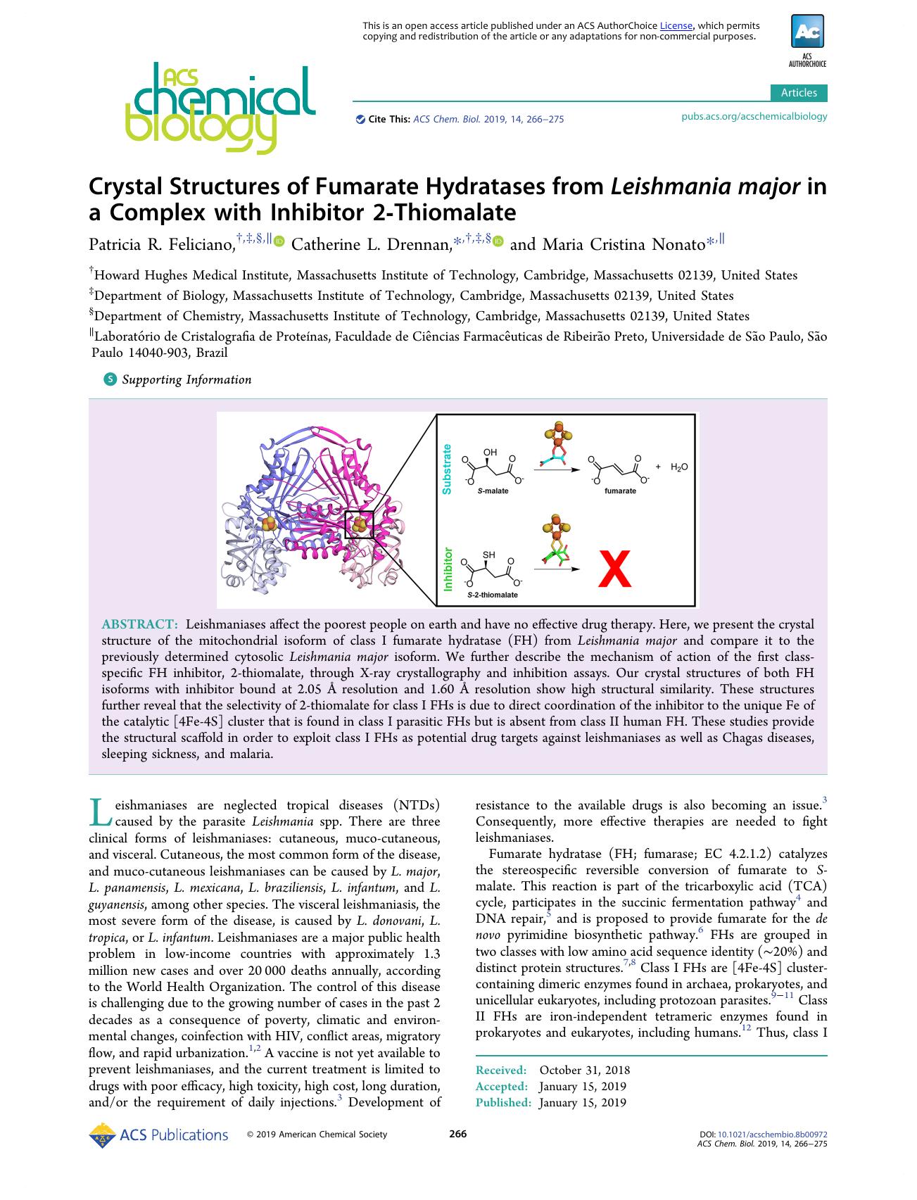 Crystal Structures of Fumarate Hydratases from Leishmania major in a Complex with Inhibitor 2-Thiomalate by Patricia R. Feliciano Catherine L. Drennan and Maria Cristina Nonato