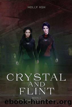 Crystal and Flint (The Journey Missions Book 1) by Holly Ash