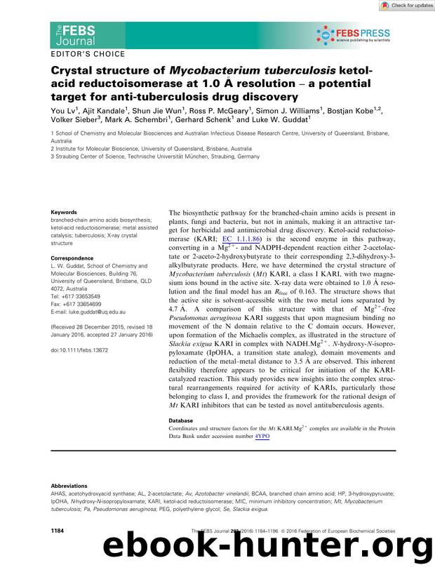 Crystal structure of Mycobacterium tuberculosis ketolâacid reductoisomerase at 1.0 Ã resolution â a potential target for antiâtuberculosis drug discovery by Unknown