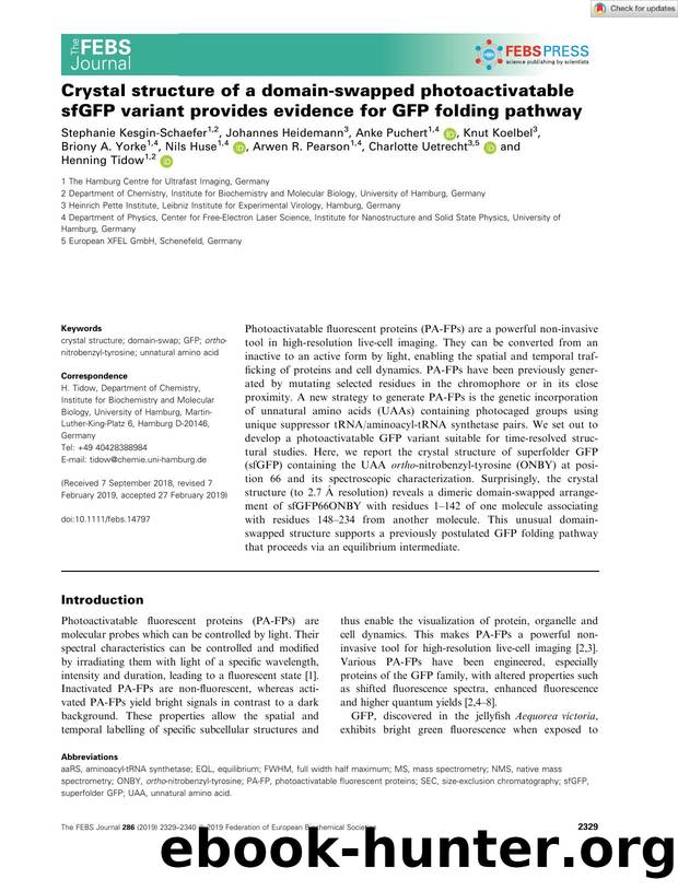 Crystal structure of a domainâswapped photoactivatable sfGFP variant provides evidence for GFP folding pathway by Unknown
