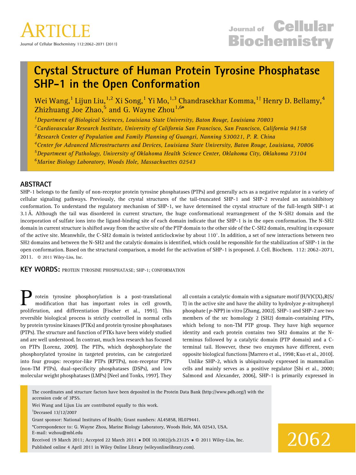 Crystal structure of human protein tyrosine phosphatase SHP1 in the open conformation by Unknown
