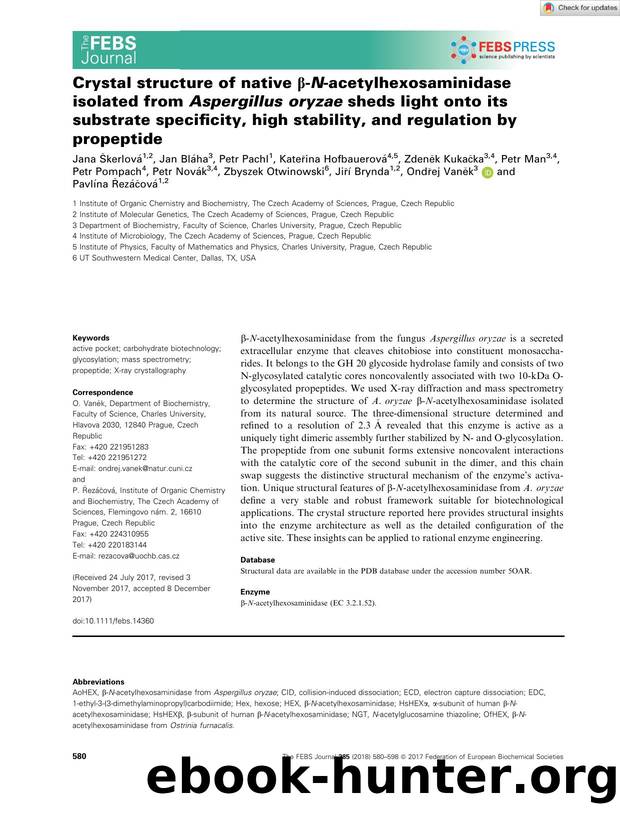 Crystal structure of native Î²âNâacetylhexosaminidase isolated from AspergillusÂ oryzae sheds light onto its substrate specificity, high stability, and regulation by propeptide by Unknown