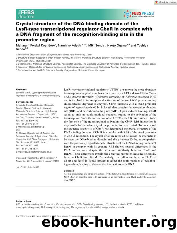 Crystal structure of the DNAâbinding domain of the LysRâtype transcriptional regulator CbnR in complex with a DNA fragment of the recognitionâbinding site in the promoter region by Unknown