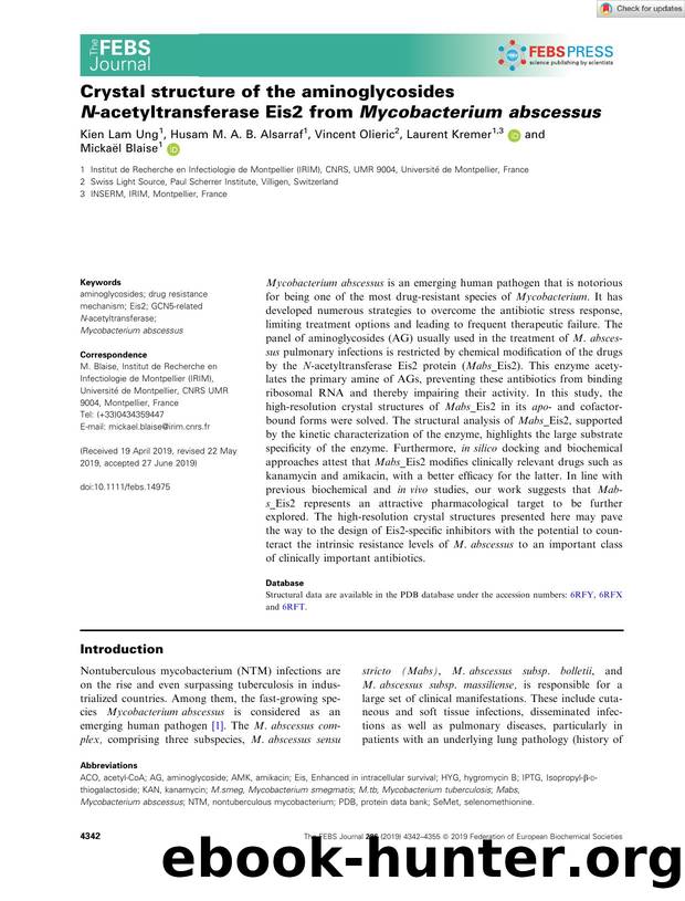 Crystal structure of the aminoglycosides Nâacetyltransferase Eis2 from MycobacteriumÂ abscessus by Unknown