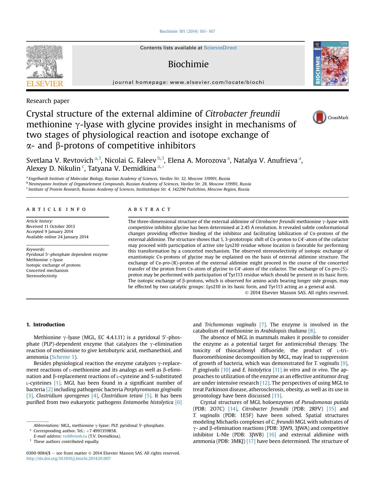 Crystal structure of the external aldimine of Citrobacter freundii methionine &gamma;-lyase with glycine provides insight in mechanisms of two stages of physiological reaction and by unknow