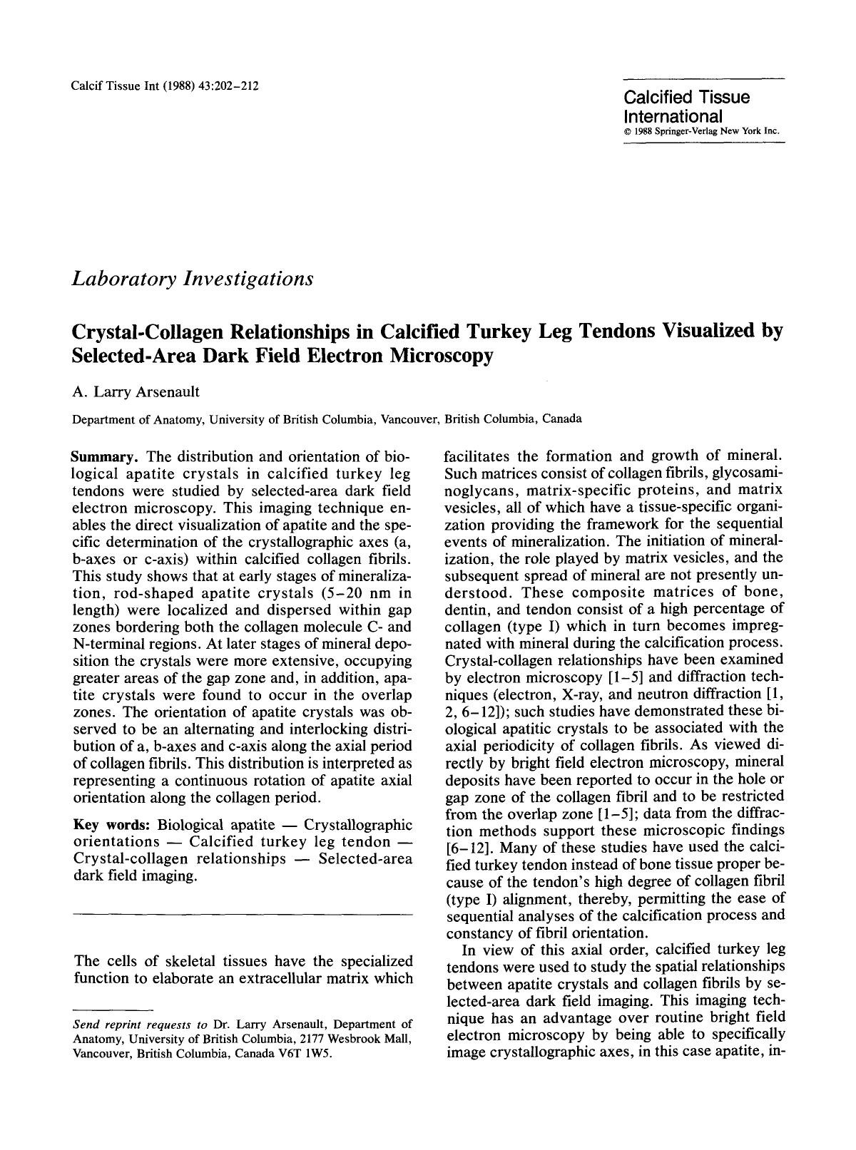 Crystal-collagen relationships in calcified turkey leg tendons visualized by selected-area dark field electron microscopy by Unknown