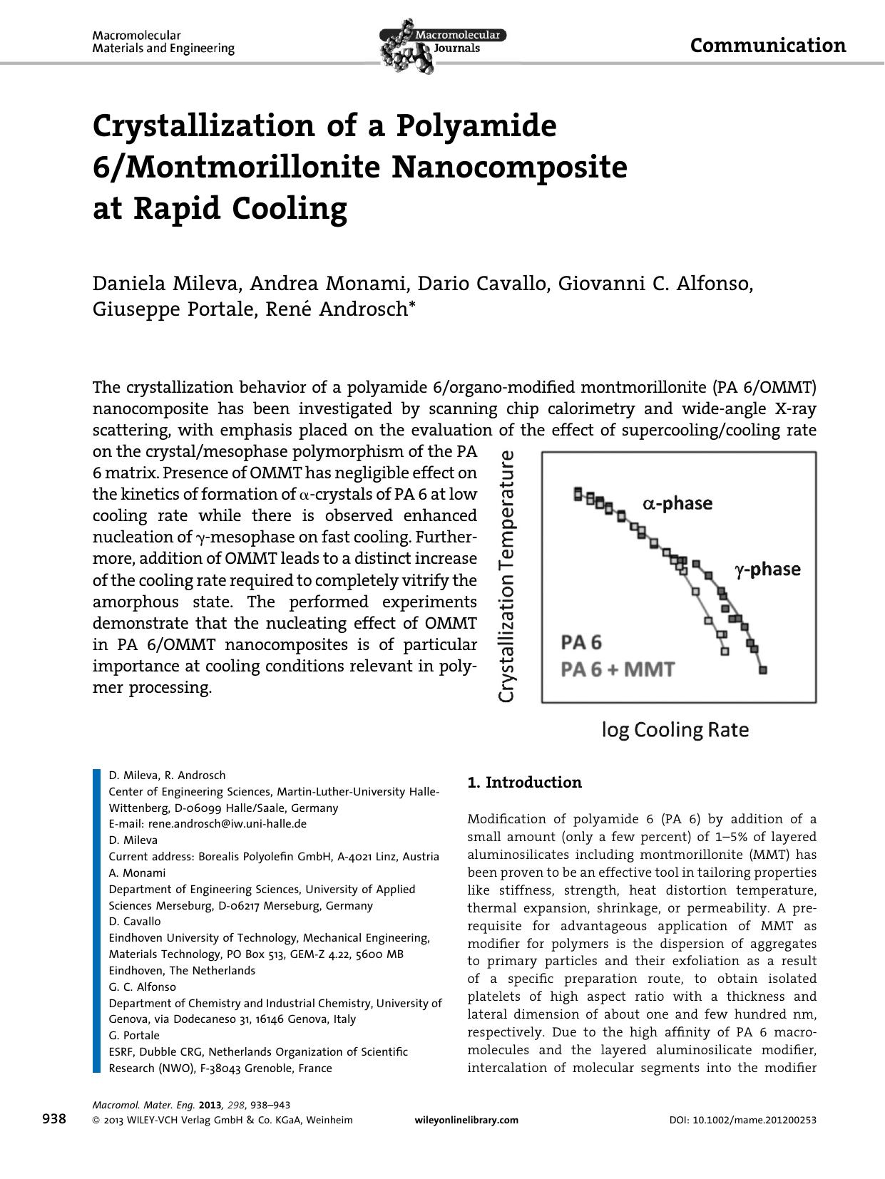 Crystallization of a Polyamide 6Montmorillonite Nanocomposite at Rapid Cooling by Unknown