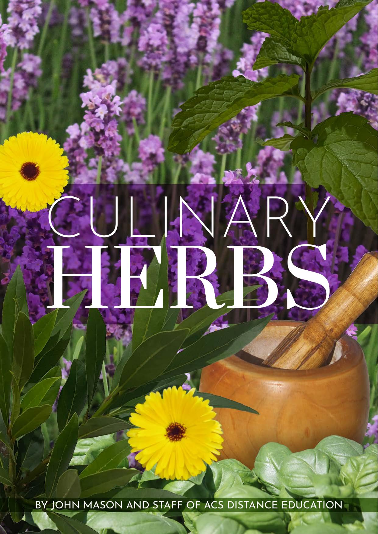 Culinary Herbs by John Mason