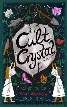 Cult Crystal by Remi Bradley