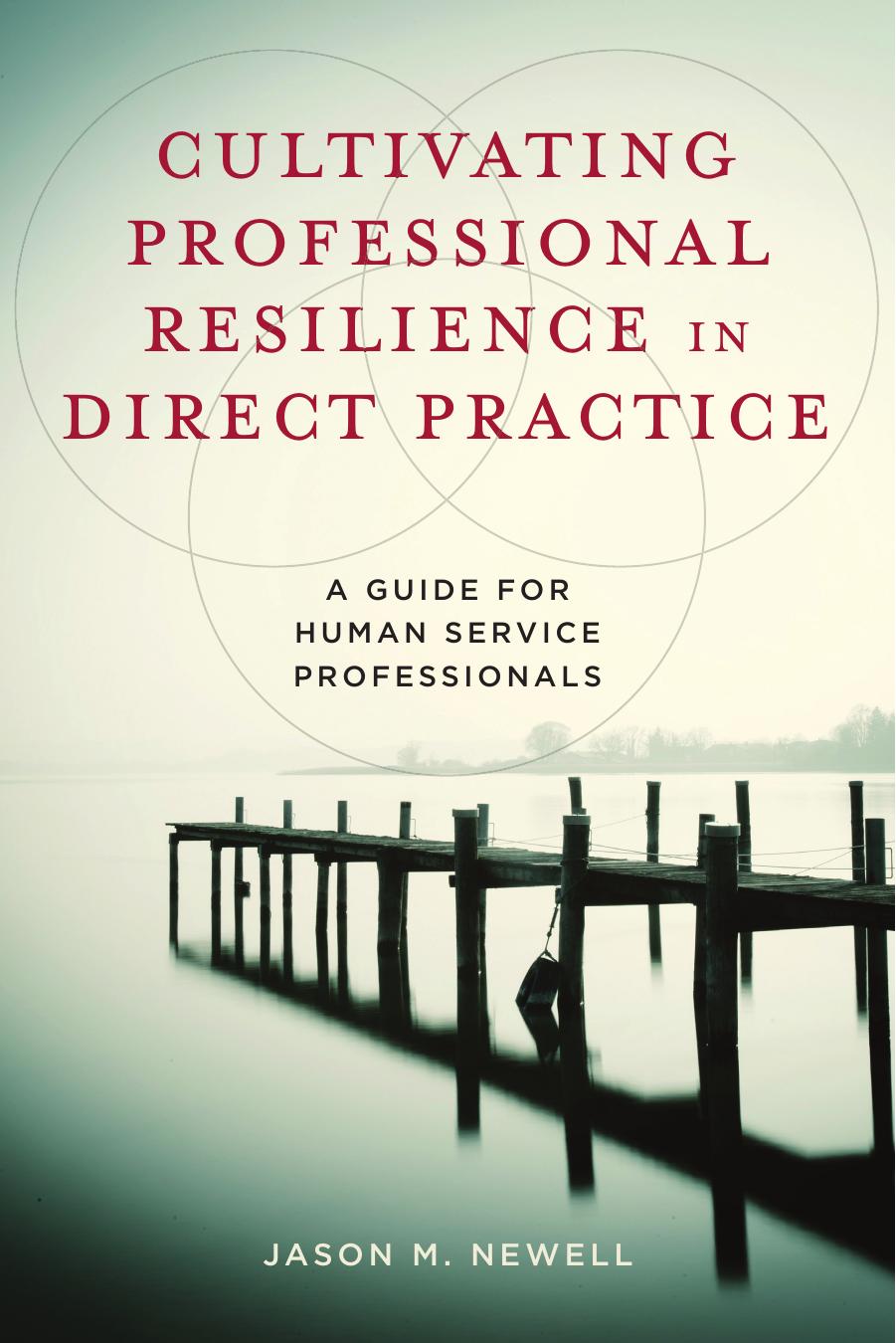 Cultivating Professional Resilience in Direct Practice: A Guide for Human Service Professionals by Jason M. Newell