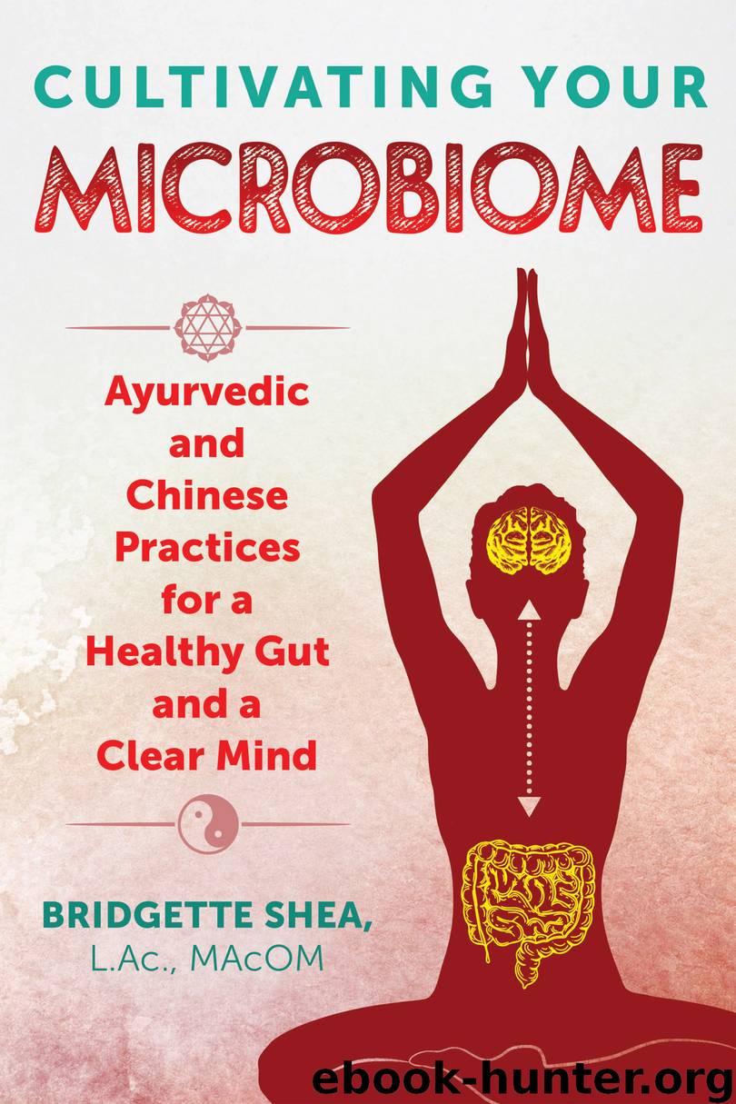 Cultivating Your Microbiome by Bridgette Shea