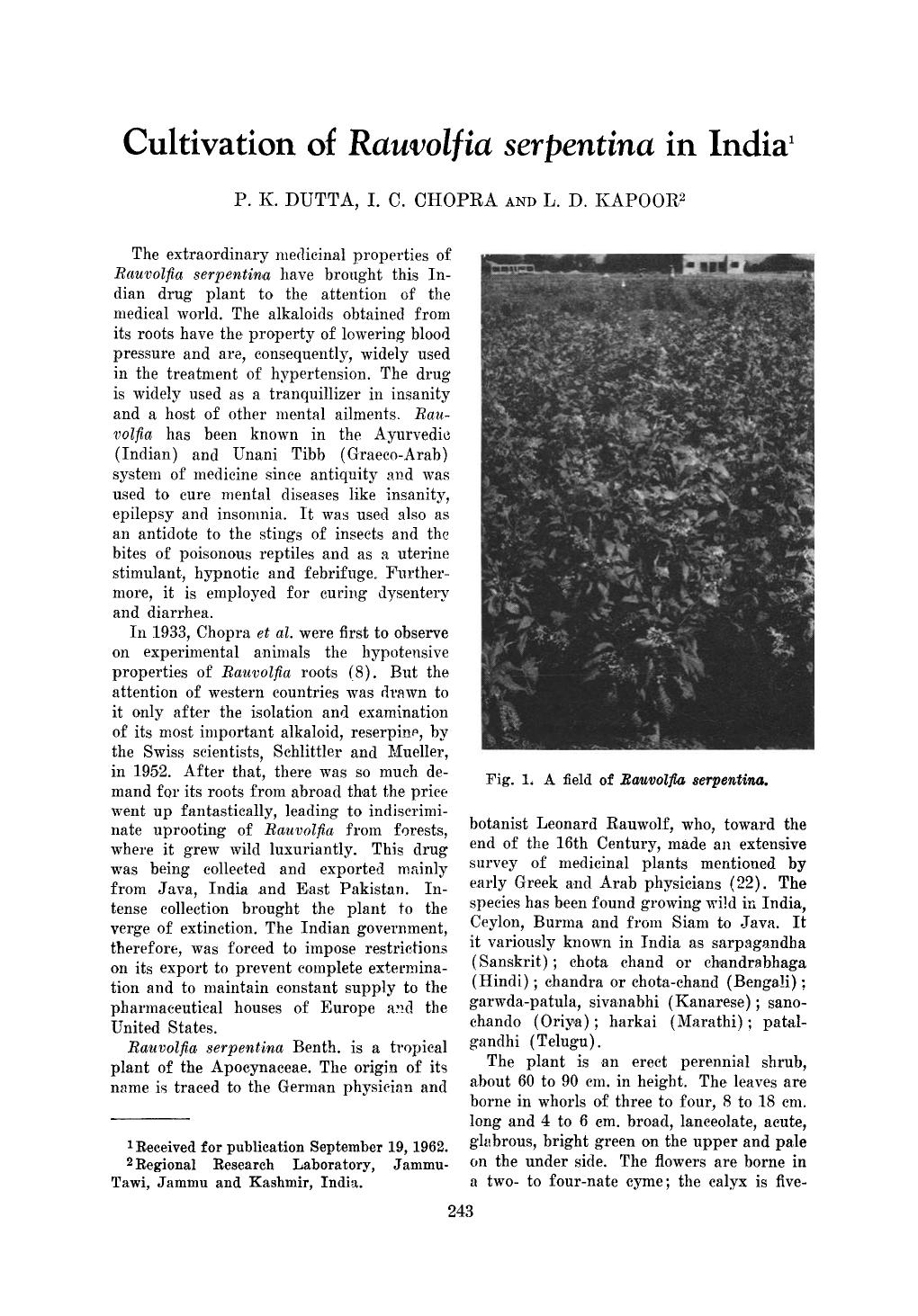Cultivation of rauvolfia serpentina in India by Unknown