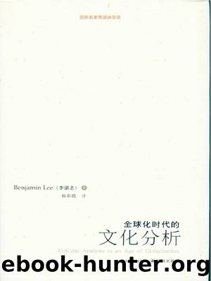 Cultural Analysis in an Age of Globalization by Benjamin Lee