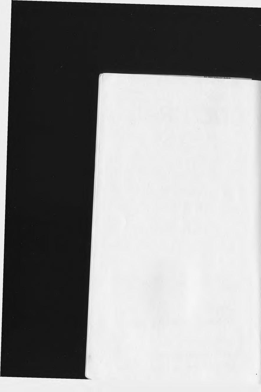 Cultural Keys: The History of Japanese Words and Phrases by Hiroshi Otsuki; Bradley Grindstaff