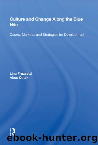 Culture And Change Along The Blue Nile by Lina Fruzzetti